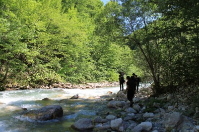 field work on river Ljuta